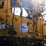 Mercedes_LKW_Zwei_Wege_Fahrzeug_Oberleitung_Montage_Schwarzenbek_Bahnhof_Modernisierung_2024-3