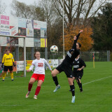 taufkirchen-laab_0-1_02-11-2024-12
