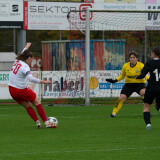 taufkirchen-laab_0-1_02-11-2024-26