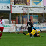 taufkirchen-laab_0-1_02-11-2024-28