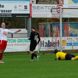 taufkirchen-laab_0-1_02-11-2024-30