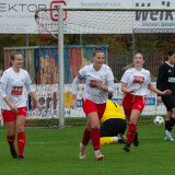 taufkirchen-laab_0-1_02-11-2024-31