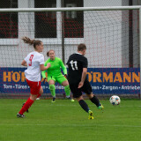 taufkirchen-laab_0-1_02-11-2024-33