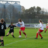 taufkirchen-laab_0-1_02-11-2024-43