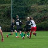 antiesenhofen-taufkirchen_2-2_17-11-2024-19