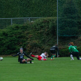 antiesenhofen-taufkirchen_2-2_17-11-2024-24