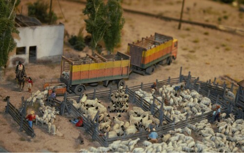 Patagonien_Argentinien_Chile_Peru_Miniaturwunderland_Miwula_Modellbahn_Hamburg_L_Schaafe (2)