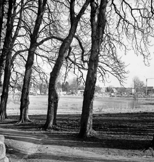 Ahrensburg Kastanienallee 1980