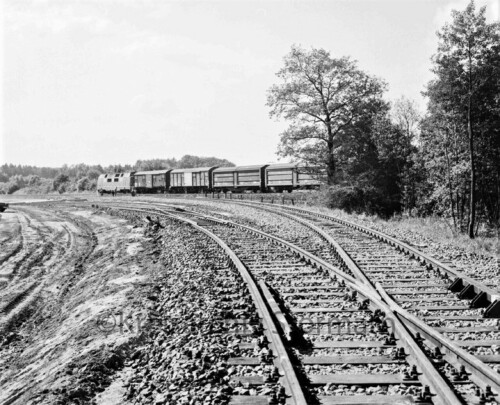 Ahrensburg 1971 Industriegleis am Kornkamp 1971 (1)