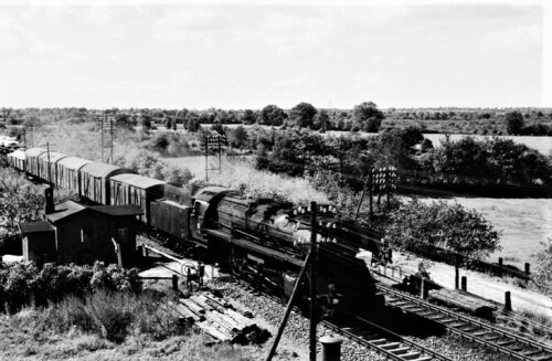 Bargteheide_Land_1959_BR_50 (1)