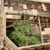 202207-MiWuLa-Rio-41g-2