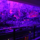 Miniaturwunderland_Miwula_Schweiz_Swiss_2024_Dez_w