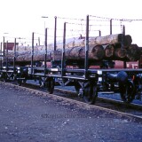 Holztransport_offene_Guterwagen_DRG_Landesbahnen_1985_Bochum_Dahlhausen_BW_Tag_der_offenen_Tur_a
