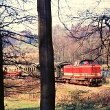 Brochterbeck_Bahnhof_1974_V_132_Sonderzug_nach_Tecklenburg_TWE