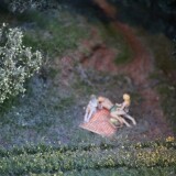 m_Miwula_Miniaturwunderland_Hamburg_Brucke_Strecke_um_die-Welt-3