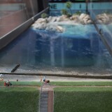 p_Miwula_Miniaturwunderland_Hamburg_Brucke_Sudseeinsel_ying_und_yang_zeichen_Hammerhai-Fischschwarm-1