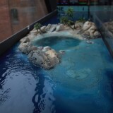 p_Miwula_Miniaturwunderland_Hamburg_Brucke_Sudseeinsel_ying_und_yang_zeichen_Hammerhai-Fischschwarm-4