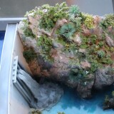 t_rain_forest_Dschungel_Regenwald_Miwula_Staudamm