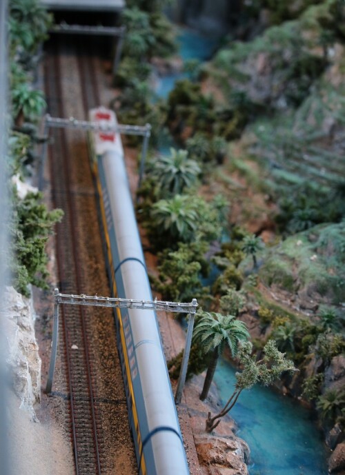 ta_rain_forest_Dschungel_Regenwald_Miwula_Miniaturwunderland_Hamburg_Brucke_polnischer_Reisezug.jpg