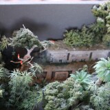 y_-Dschungel_rain_forest_H0_sscale_Miwula_Miniaturwunderland_Hamburg_Brucke_Stecke_um_die-Welt-13