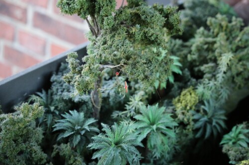 y Dschungel rain forest H0 sscale Miwula Miniaturwunderland Hamburg Brücke Stecke um die Welt (8)