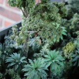 y_-Dschungel_rain_forest_H0_sscale_Miwula_Miniaturwunderland_Hamburg_Brucke_Stecke_um_die-Welt-8