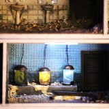 Lost_place_Miniaturwunderland_France_Gebirge_Berge_Frankreich_MiWuLa_Modellbahn_H0