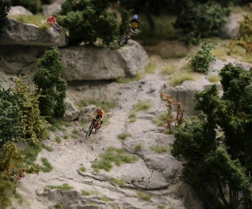 Kaktus_Kakteen_Garten_Miniaturwunderland_Berge_Frankreich_MiWuLa_Modellbahn-0a-2.jpg