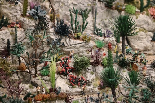 Kaktus_Kakteen_Garten_Miniaturwunderland_Berge_Frankreich_MiWuLa_Modellbahn-3.jpg