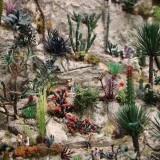 Kaktus_Kakteen_Garten_Miniaturwunderland_Berge_Frankreich_MiWuLa_Modellbahn-3