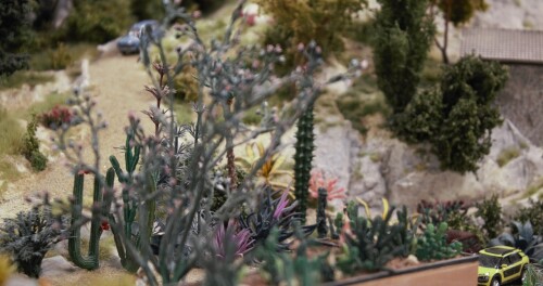 Kaktus_Kakteen_Garten_Miniaturwunderland_Berge_Frankreich_MiWuLa_Modellbahn-3a.jpg