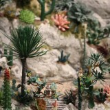 Kaktus_Kakteen_Garten_Miniaturwunderland_Berge_Frankreich_MiWuLa_Modellbahn-6