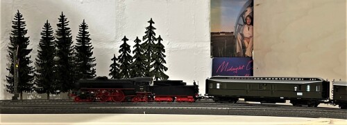 20220911 Bad Diethersbach Fahrtag BR 15 (7)