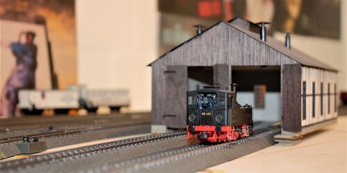 BR 89 407 H0 Rangierlok Kleiner Raniermeister Fahrtag Bad Diethersbronn (1)