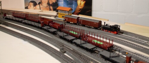 BR 89 407 H0 Rangierlok Kleiner Raniermeister Fahrtag Bad Diethersbronn (5 (1)