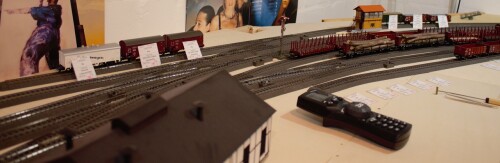 BR 89 407 H0 Rangierlok Kleiner Raniermeister Fahrtag Bad Diethersbronn (5 (2)