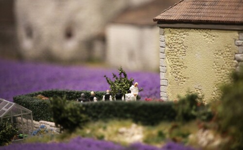 Miniaturwunderland_France_Provence_Lavendel_Felder_Frankreich_MiWuLa_Modellbahn_H0_b-1.jpg