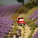 Miniaturwunderland_France_Provence_Lavendel_Felder_Frankreich_MiWuLa_Modellbahn_H0_b-12