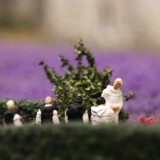 Miniaturwunderland_France_Provence_Lavendel_Felder_Frankreich_MiWuLa_Modellbahn_H0_b-2