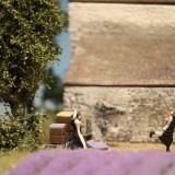 Miniaturwunderland_France_Provence_Lavendel_Felder_Frankreich_MiWuLa_Modellbahn_H0_b-4