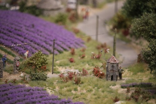 Miniaturwunderland_France_Provence_Lavendel_Felder_Frankreich_MiWuLa_Modellbahn_H0_b-8.jpg