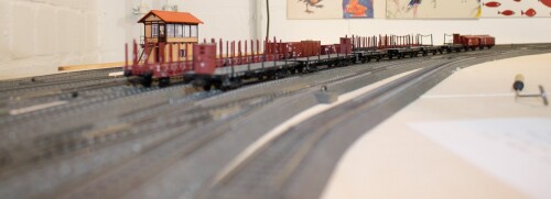 Bad Diethersbronn Fahrtag Fremo H0 Fahren nach Plan Gleisvorfeld (2)