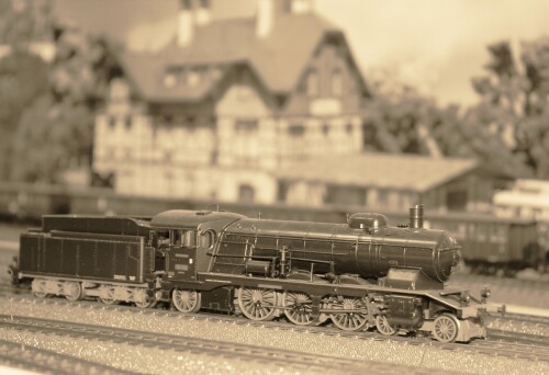 Bahnhof Bad Diethersbronn Fahrtag Fremo H0 Fahren nach Plan (11)