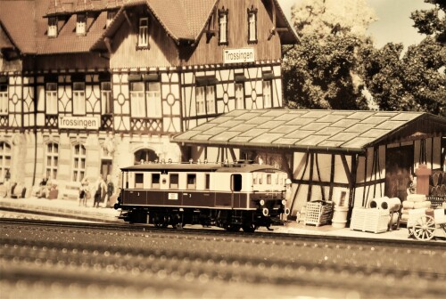 Bahnhof Bad Diethersbronn Fahrtag Fremo H0 Fahren nach Plan (13)