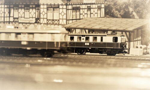 Bahnhof Bad Diethersbronn Fahrtag Fremo H0 Fahren nach Plan (14)