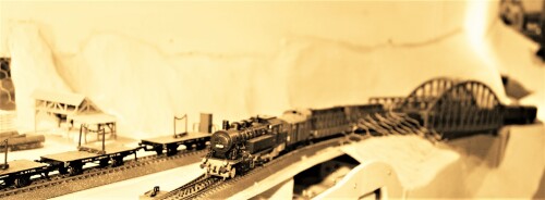 Bahnhof Bad Diethersbronn Fahrtag Fremo H0 Fahren nach Plan (2)