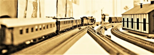 Bahnhof Bad Diethersbronn Fahrtag Fremo H0 Fahren nach Plan (5)