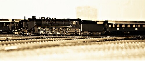 Bahnhof Bad Diethersbronn Fahrtag Fremo H0 Fahren nach Plan (7)