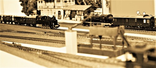 Bahnhof Bad Diethersbronn Fahrtag Fremo H0 Fahren nach Plan (8)