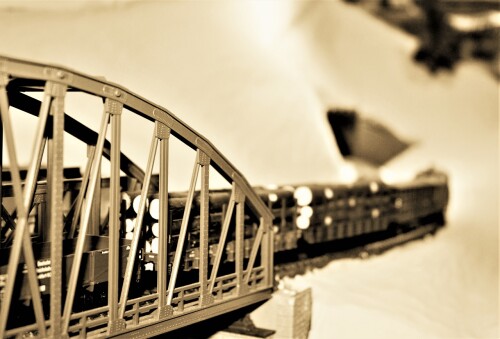 Bahnhof Bad Diethersbronn Fahrtag Fremo H0 Fahren nach Plan (9)